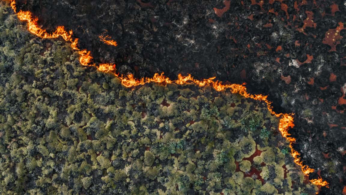 Senadores exigen medidas contra apuestas en mercados de predicción de incendios forestales