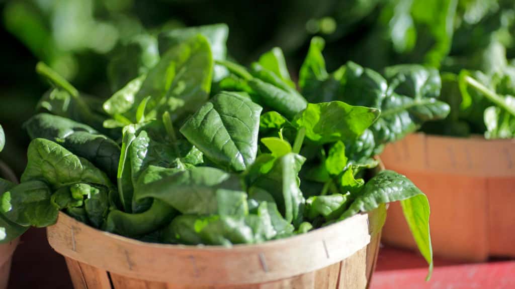 FDA Revisits Regulatory Approach to Botanical Drug Products