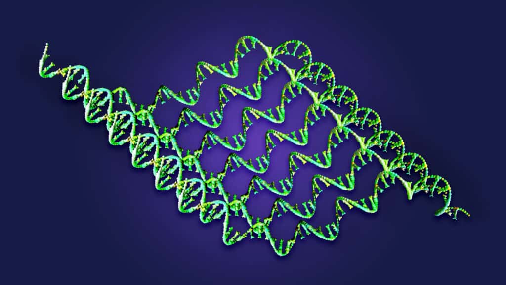 Merck and Moderna's Cancer Vaccine Algorithm Explained