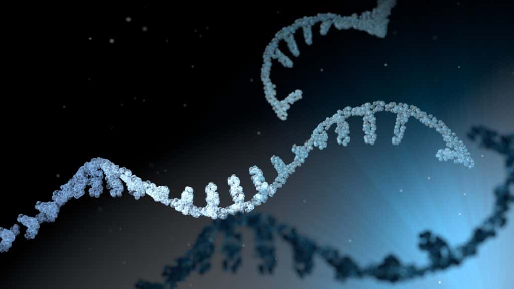 One of the Most Consequential Years for Cancer Treatment, Ever