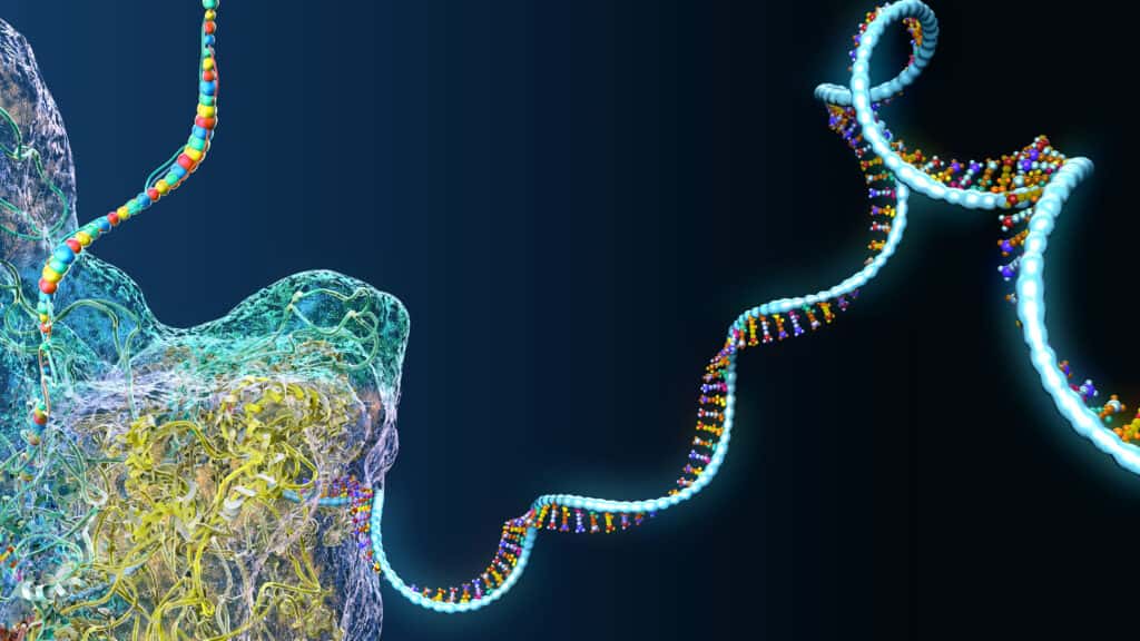 ARPA-H Funds Biotechs Developing Custom RNA Therapies