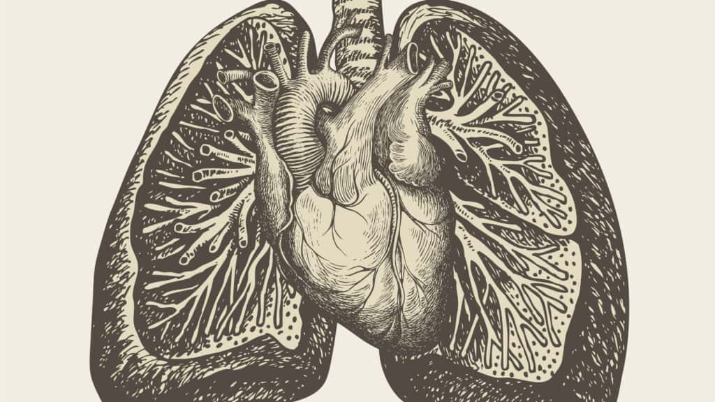Tenax Therapeutics to Report Phase 3 Results for Heart Failure Treatment