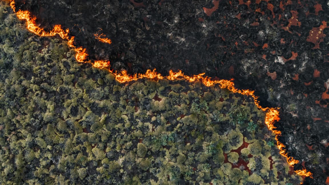 Senators demand crackdown on wildfire prediction market bets