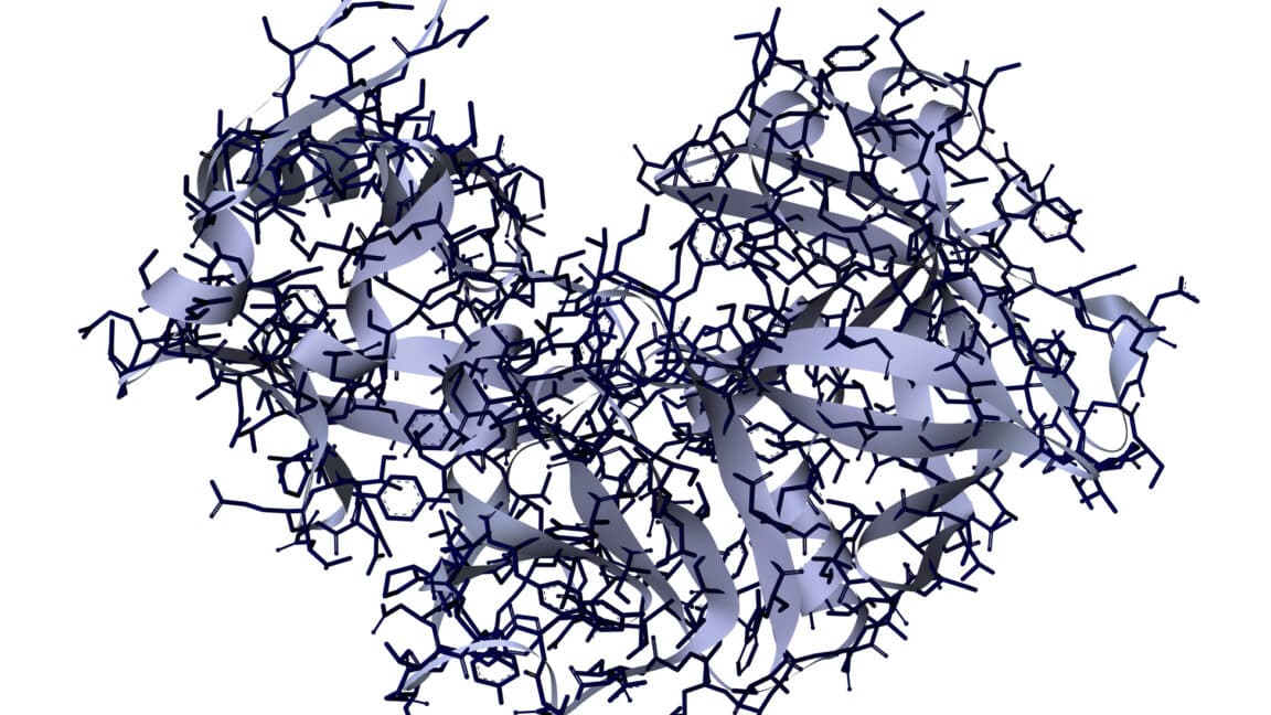 Investigadores Utilizan IA para Diseñar Proteínas que Degradan Otras Proteínas
