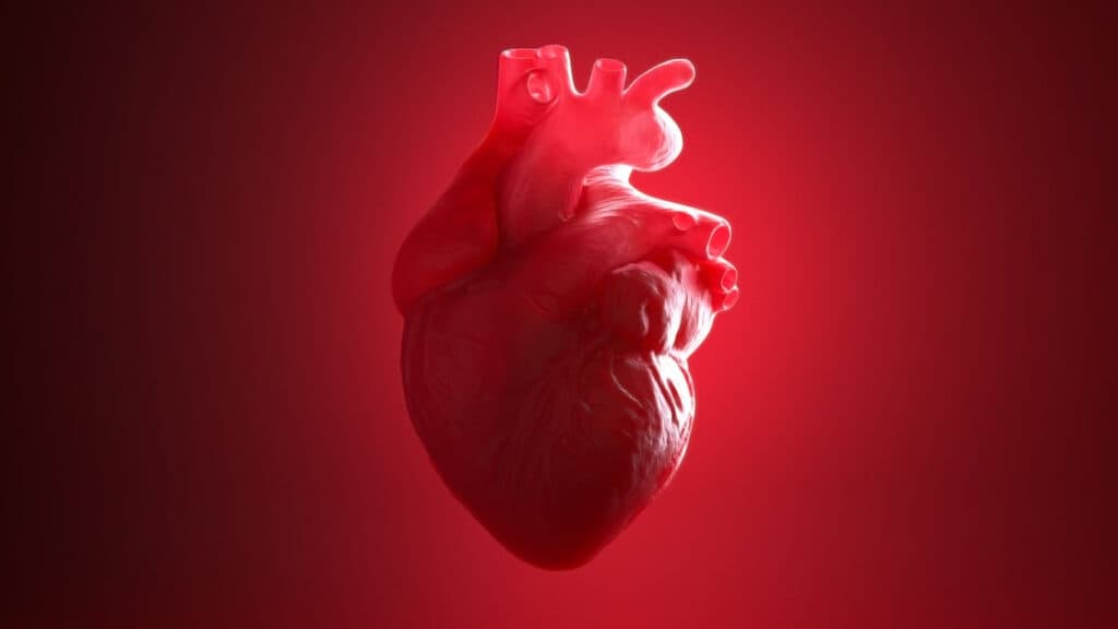 Novo Nordisk Halts Two Cardiovascular Trials of Inflammation-Targeting Drug