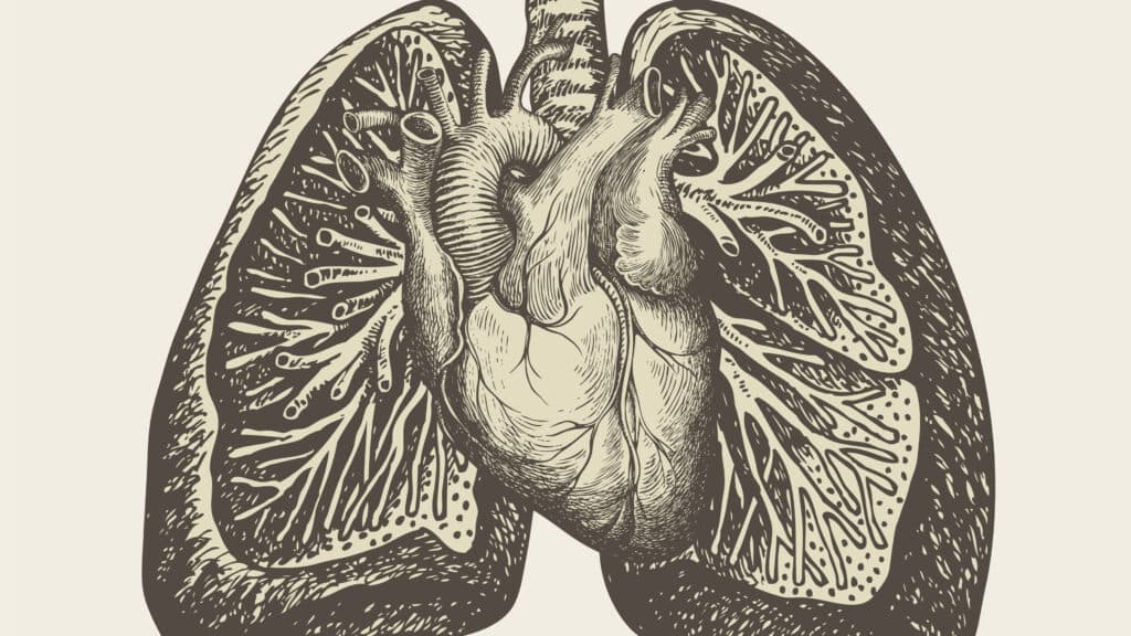Tenax Therapeutics to Report Phase 3 Results for Heart Failure Treatment
