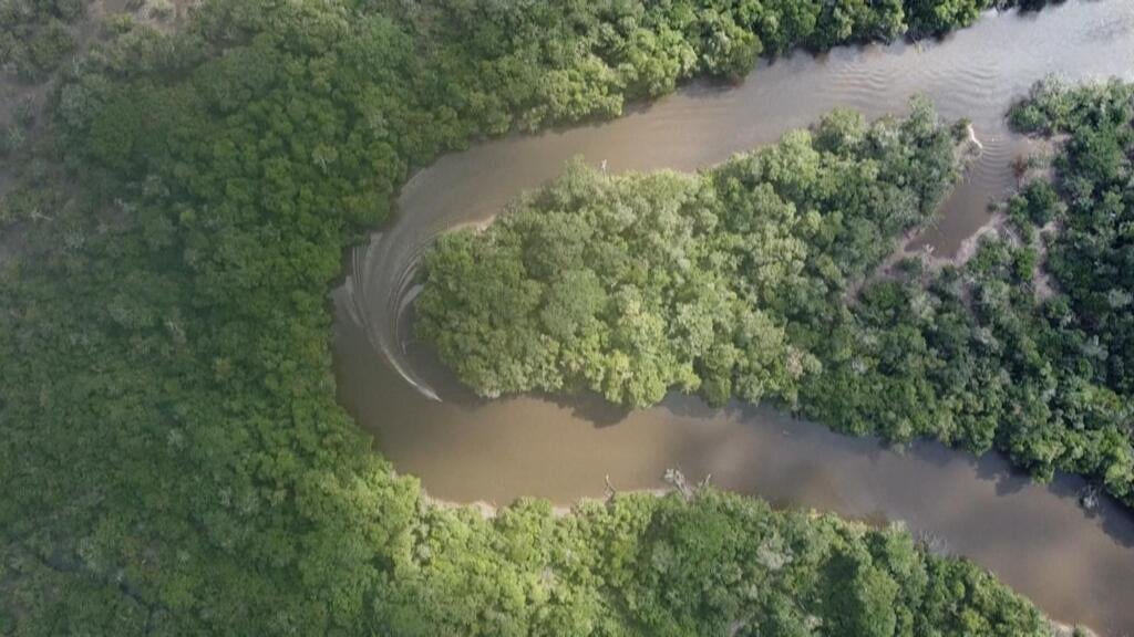Lula's Re-election Raises Hopes for Amazon as Deforestation Reaches Record Low