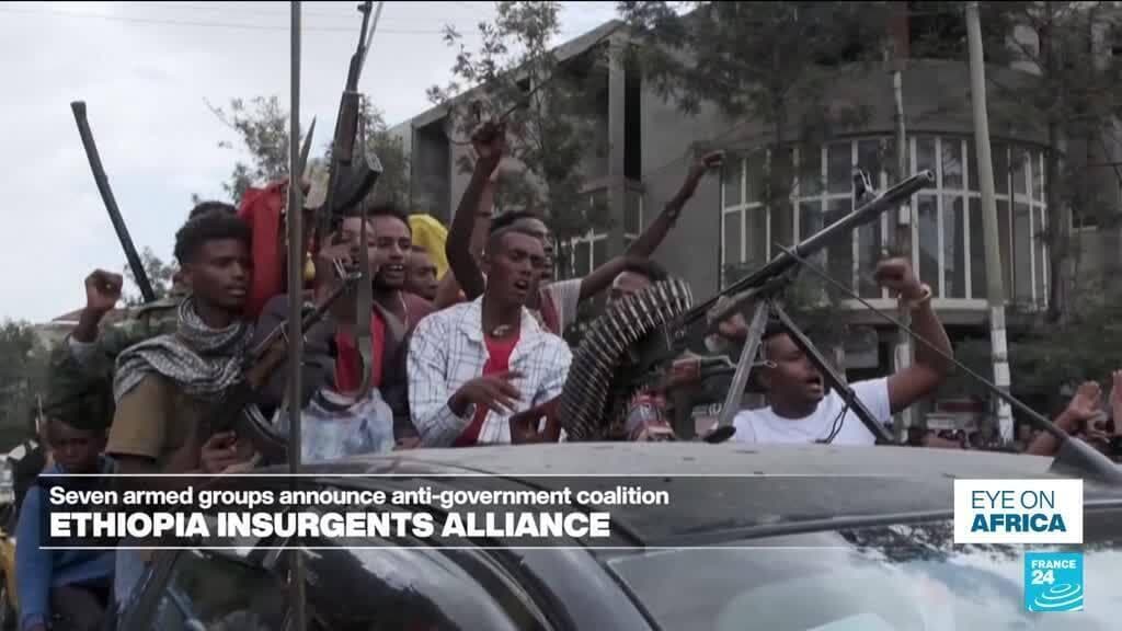 Etiyopya'nın ana silahlı grupları Başbakan Abiy'e karşı muhalefet ittifakı oluşturuyor