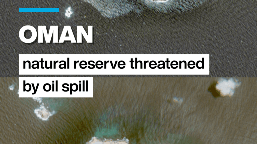 Oman nature reserve threatened by oil spill from suspected Russian ghost ship