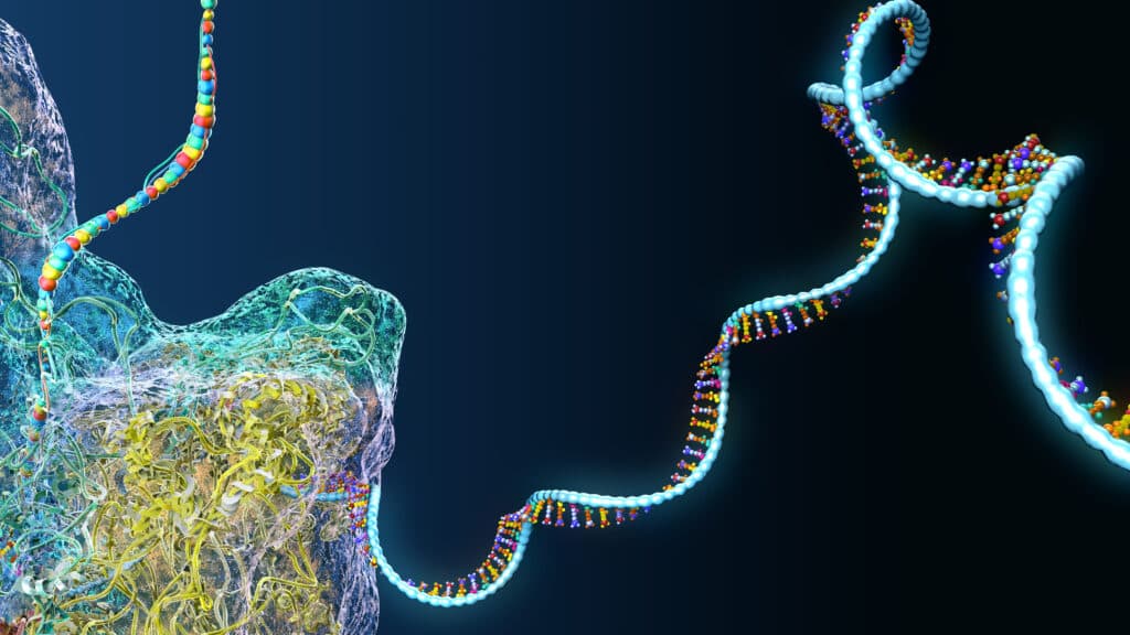 ARPA-H Funds Biotechs Developing Custom RNA Therapies
