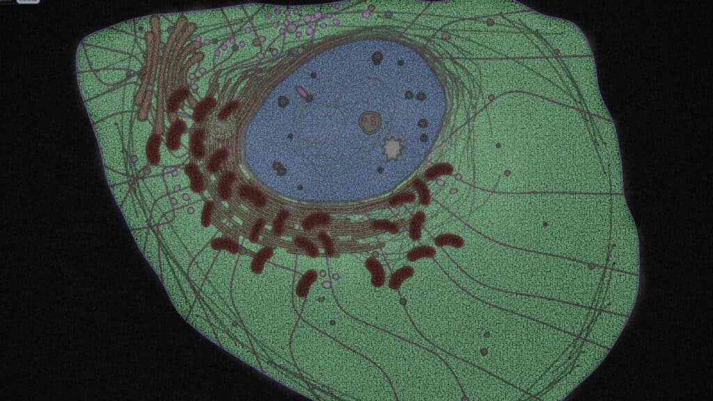 Prominent AI Startup Rolls Out Virtual Cell Model to Accelerate Scientific Research